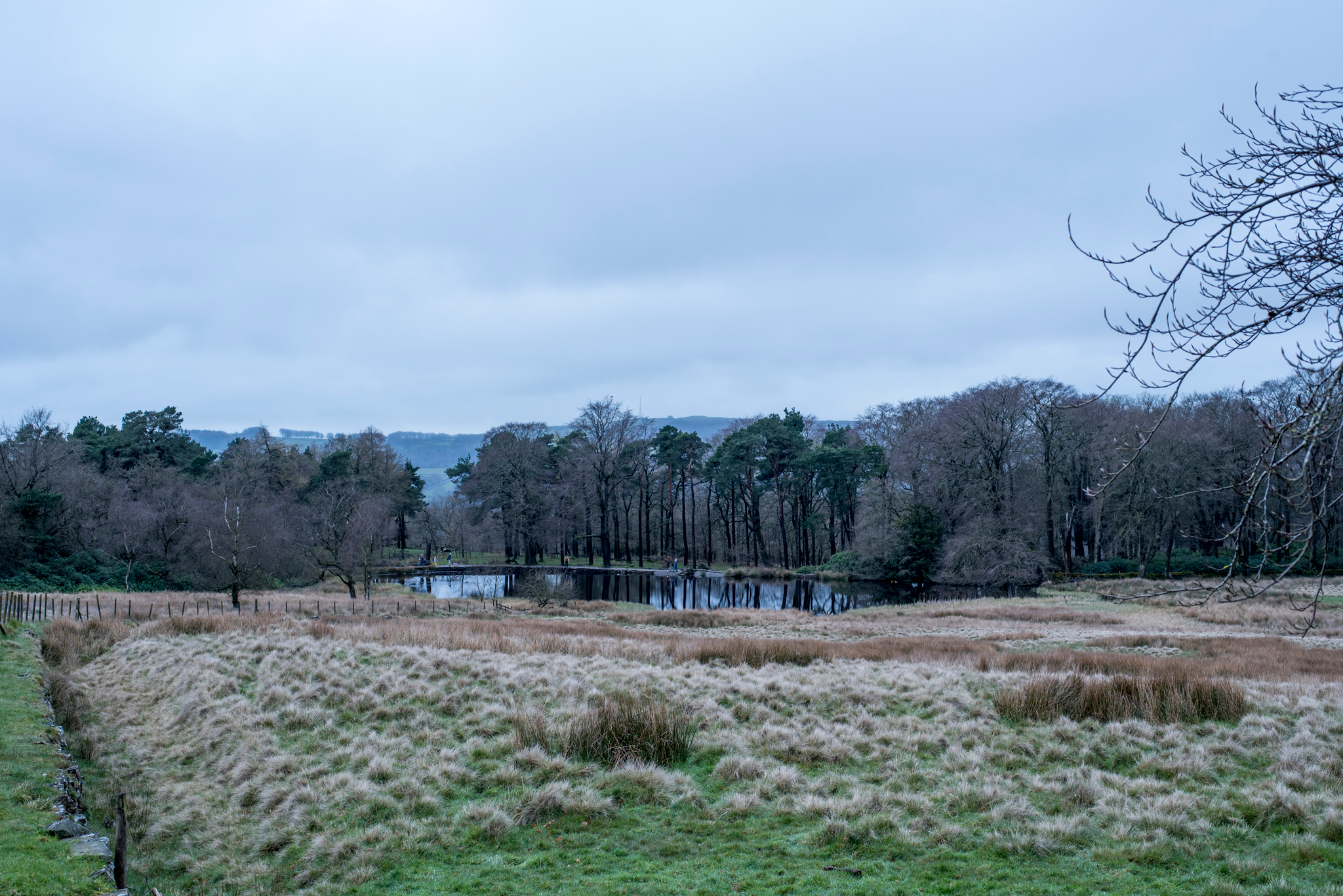 /galleries/Padley Gorge/_DSC1076.jpg